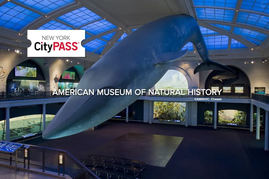 CityPass Attractions AMNH