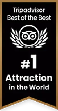 trip advisor