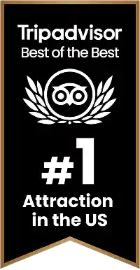 trip advisor
