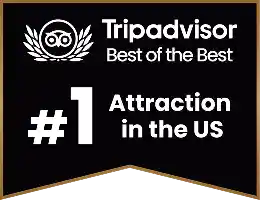 trip advisor; #1 attraction in the US