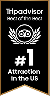 trip advisor